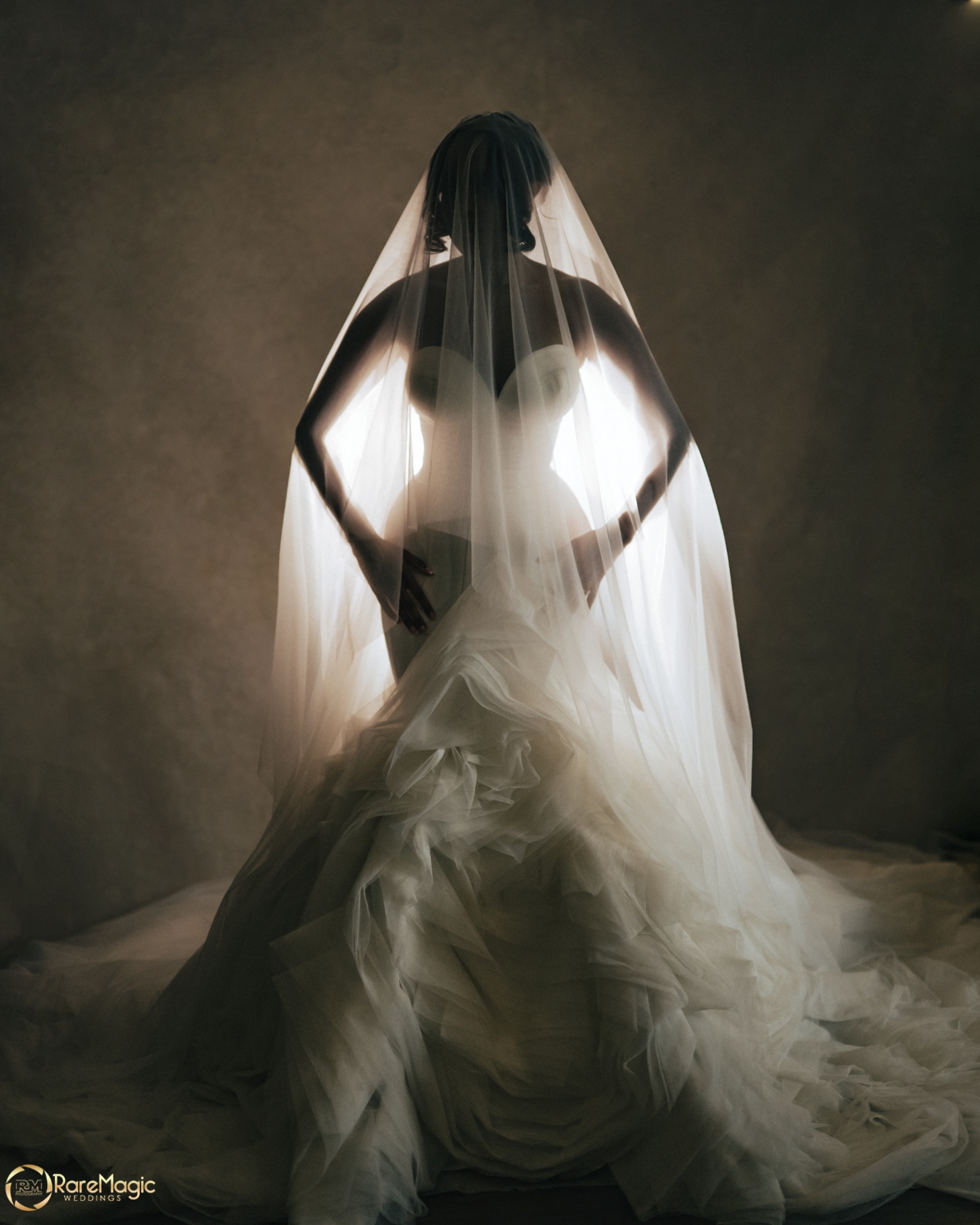 Bride backlit beneath a flowing veil